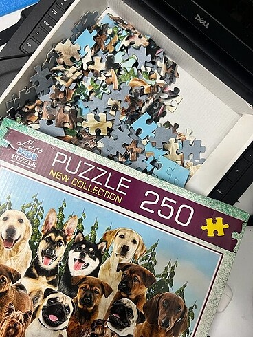 Diğer 250 parça puzzle