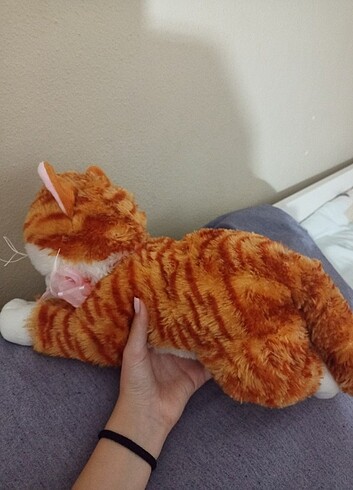Diğer Peluş Kedi