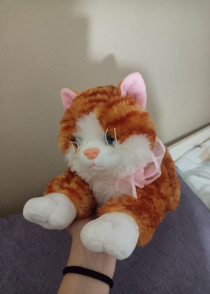 Peluş Kedi - Görsel 3