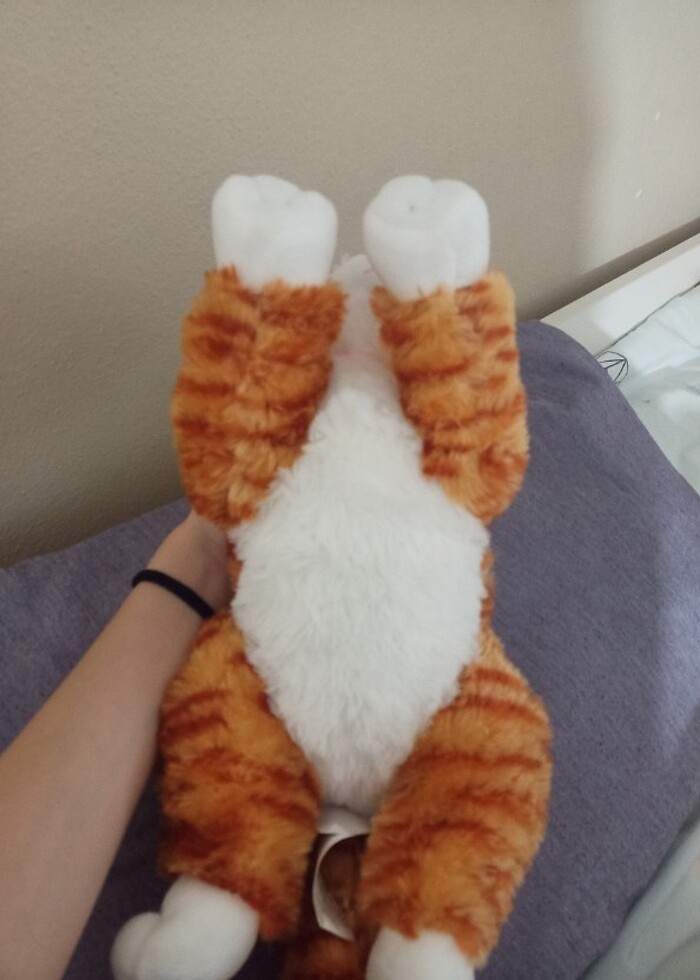 Peluş Kedi - Görsel 4