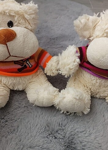 Ayıcık  - Görsel 4