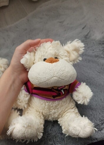 Ayıcık  - Görsel 6