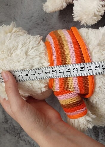 Ayıcık  - Görsel 7