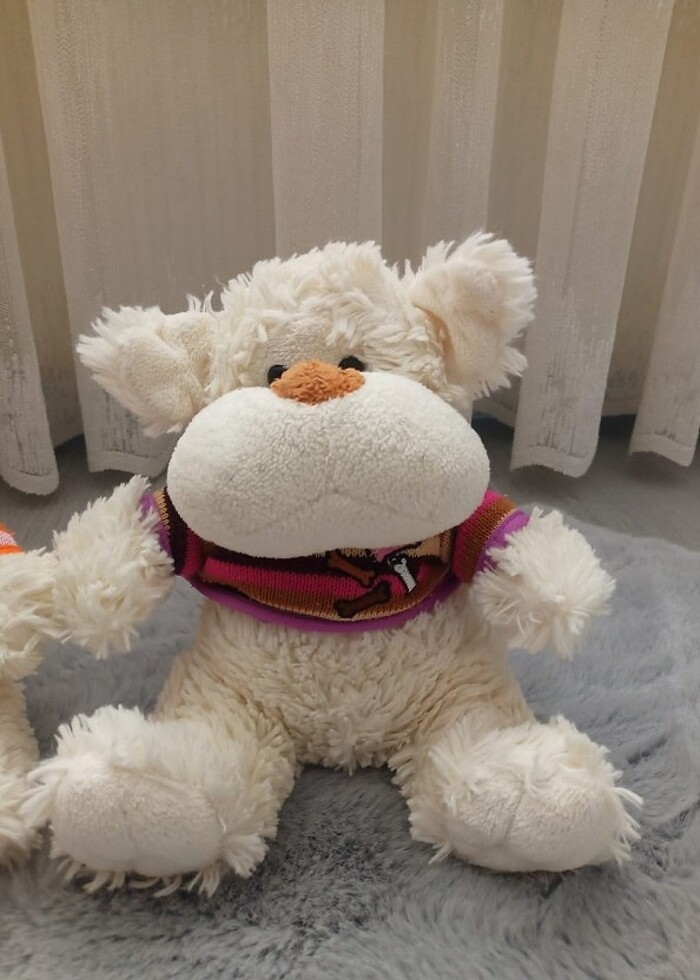 Ayıcık  - Görsel 2