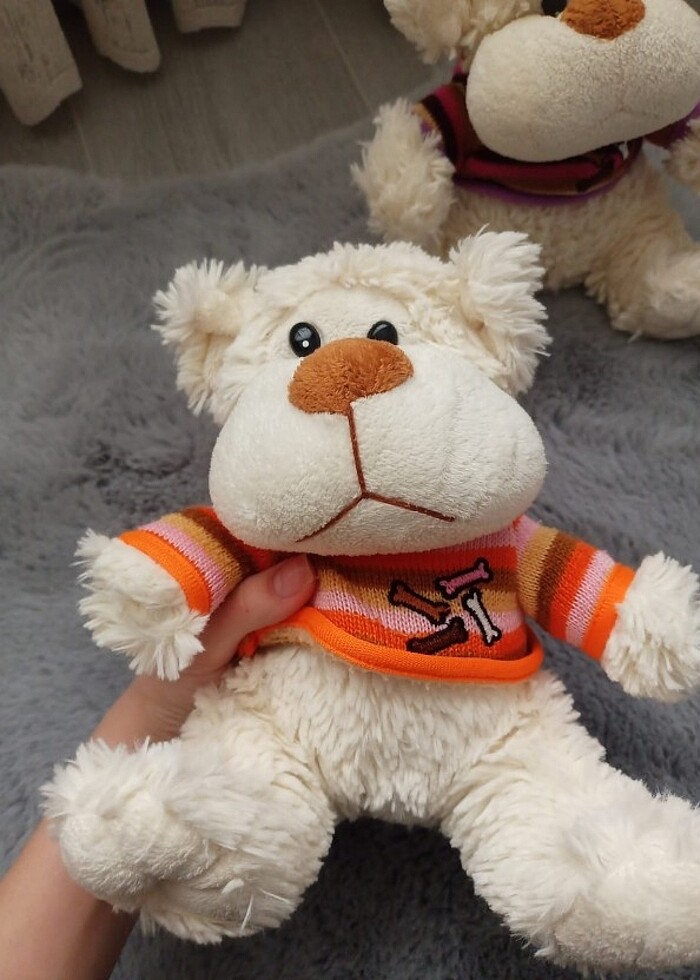 Ayıcık  - Görsel 3