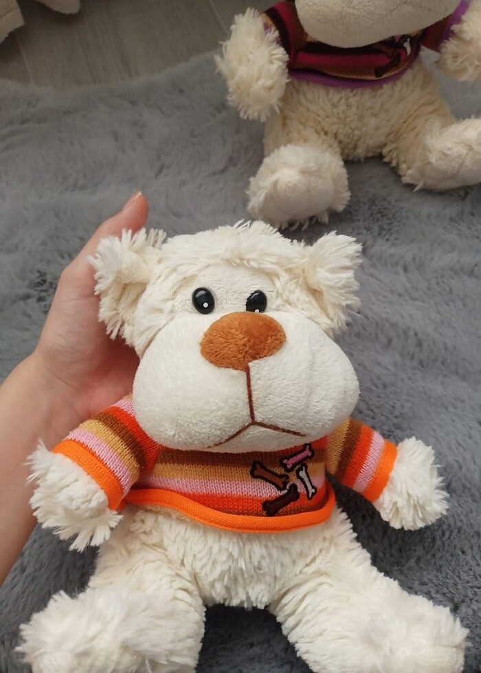 Ayıcık  - Görsel 5