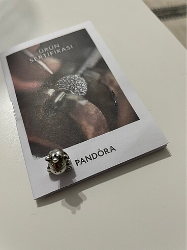  Beden gri Renk Pandora charm