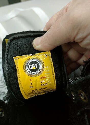 Cat 36 no orj cat bot