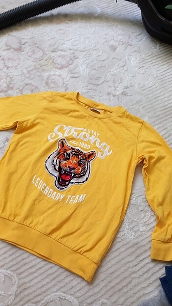 LC Waikiki Sweat