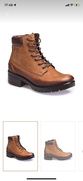 Dockers Dockers Bot
