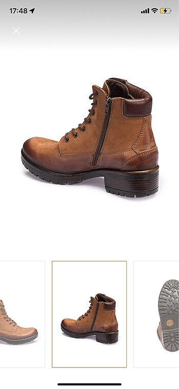 41 Beden Dockers Bot