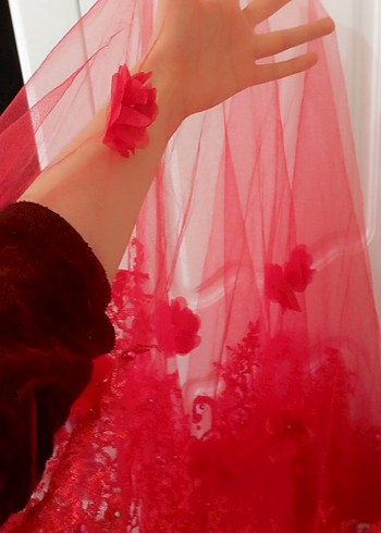 kırmızı duvak seti - Görsel 2