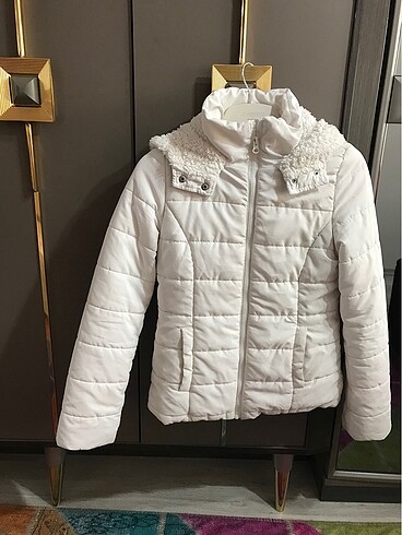 Koton mont
