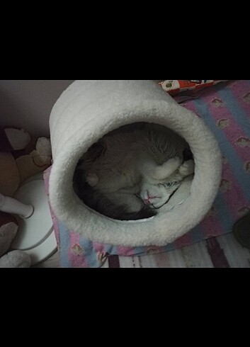 Makinada yıkanabilir kedi yatağı 
