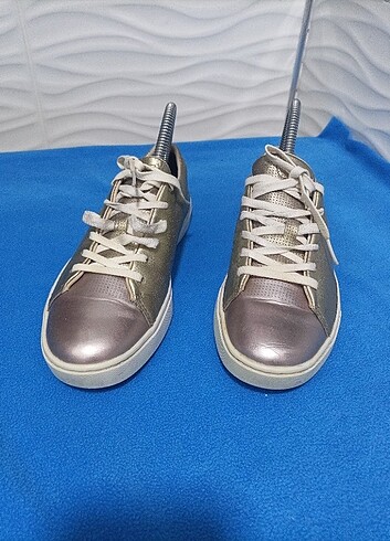 38 Beden camel Renk Orijinal Lacoste