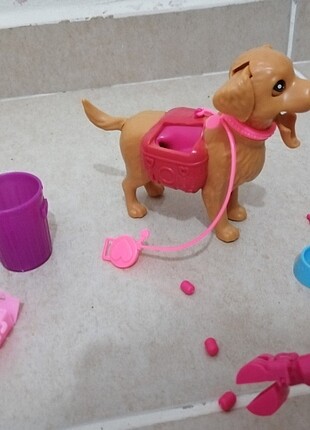  Beden Renk Kaka yapabilen köpek 