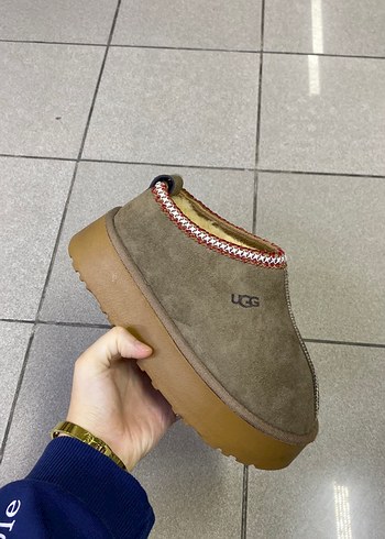 Ugg terlik