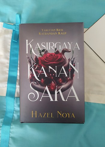 Kasırgaya Kanat Saka