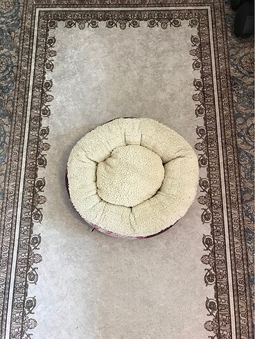 pofuduk kedi yatağı