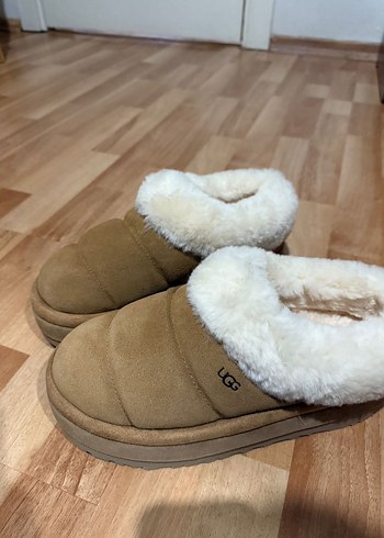 Ugg terlik