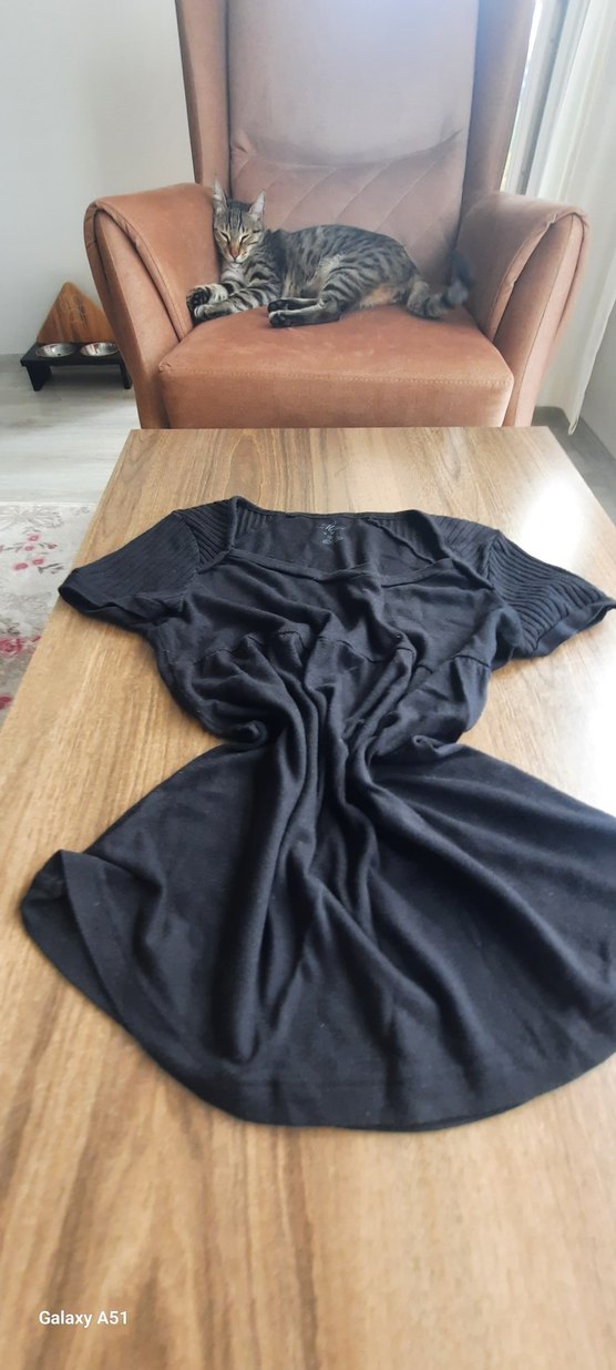 Siyah V Yakalı İnce mavi marka - Görsel 3