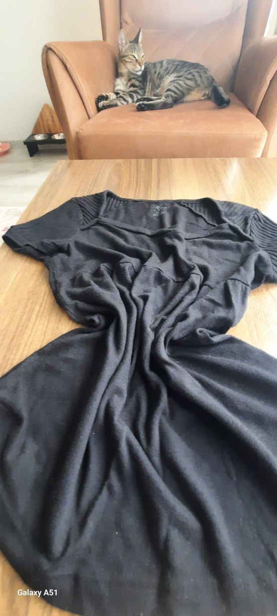 Siyah V Yakalı İnce mavi marka - Görsel 5