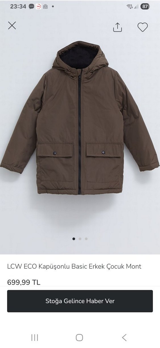 Kahverengi Kapüşonlu Erkek Çocuk Mont - Görsel 3