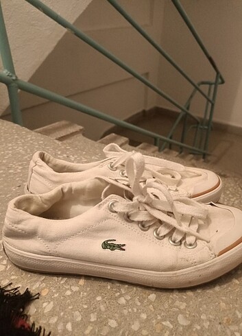Lacoste spor ayakkabı