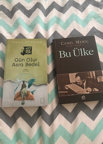 Gün Olur Asra Bedel ve Bu Ülke Romanları