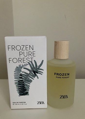 Zara Frozen Pure Forest Erkek Parfümü 100 ml