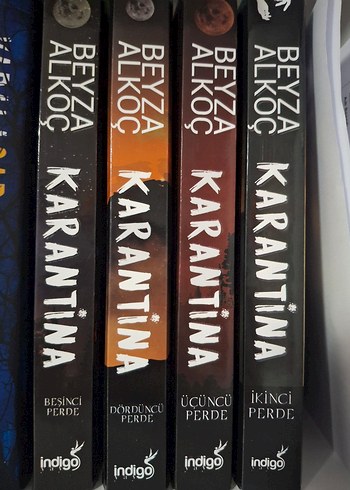 Beyza Alkoç Karantina Roman Serisi 4 Kitap