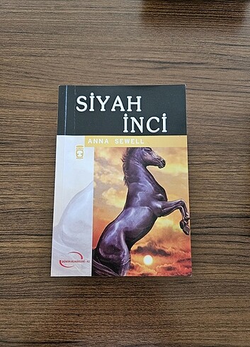 Kitap-Siyah İnci