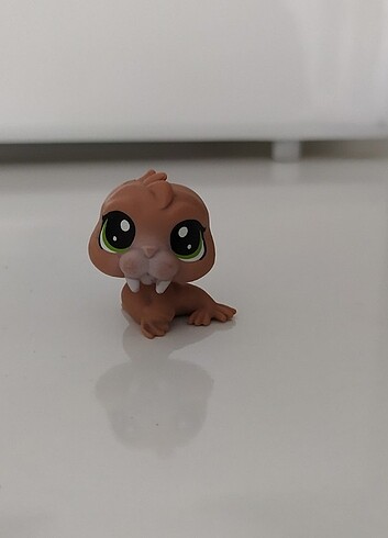 Fok Miniş 