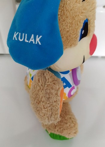 Beden sesli köpek