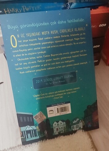  Çaylak cadı, yabancı yayınları