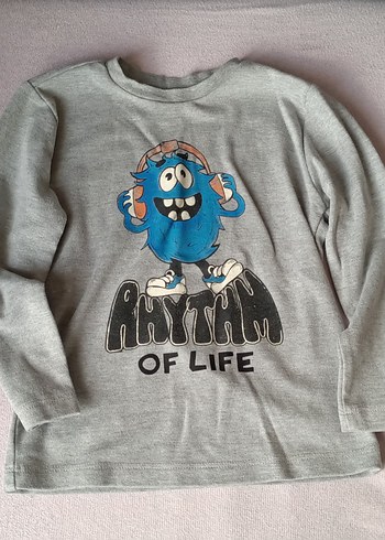 Erkek Çocuk 4-5 Yaş Uzun Kollu Baskılı Tişörtler - Görsel 6