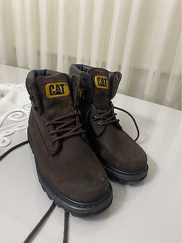 38 Beden Cat bot