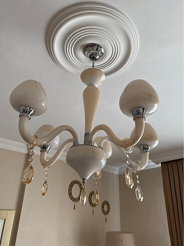 kollu salon avizesi