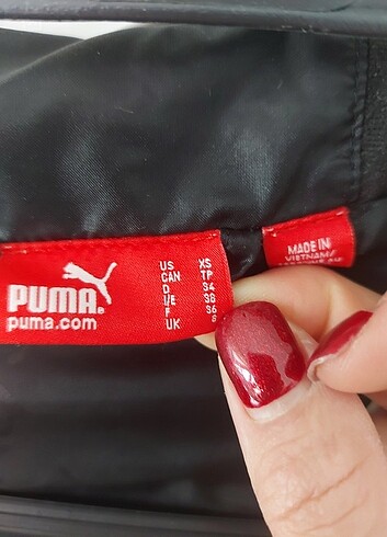 Puma sisme mont