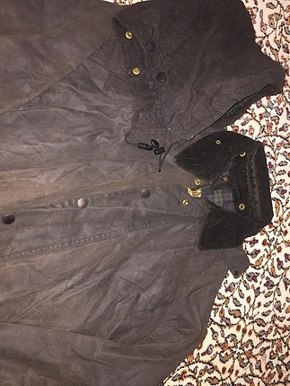 Barbour mont