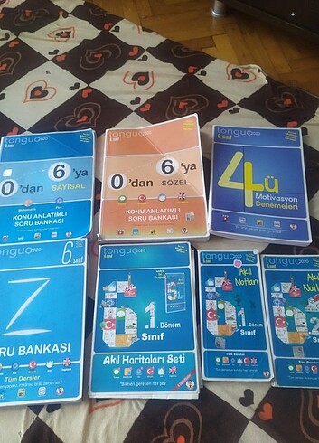 Tonguç 6.sınıf kitapları 