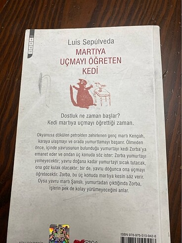  Martıya uçmayı öğreten kedi