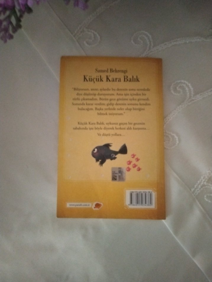 Samed Behrengi - Küçük Kara Balık - Görsel 2