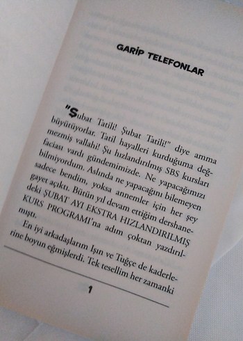 Deniz Erbulak - Sürpriz Tatil 2 - Görsel 2