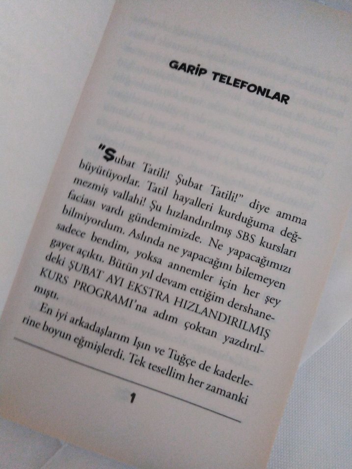 Deniz Erbulak - Sürpriz Tatil 2 - Görsel 2