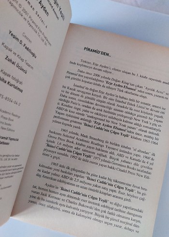 İkinci Cadde'nin Çılgın Yeşili - Erje Ayden - Görsel 3