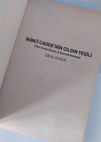 İkinci Cadde'nin Çılgın Yeşili - Erje Ayden - Görsel 2