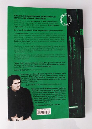 İkinci Cadde'nin Çılgın Yeşili - Erje Ayden - Görsel 4