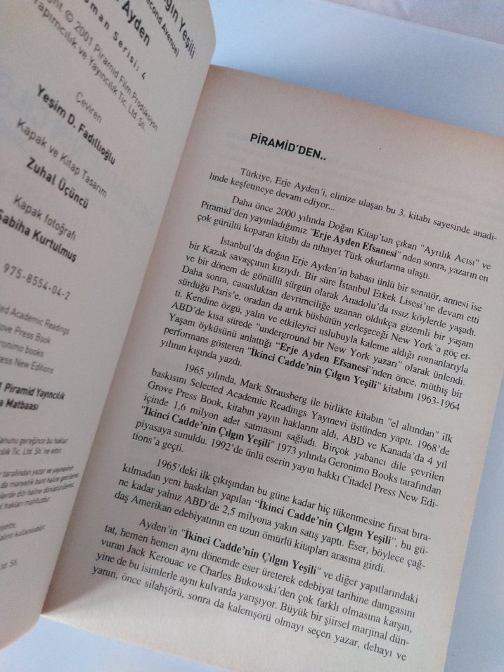 İkinci Cadde'nin Çılgın Yeşili - Erje Ayden - Görsel 3