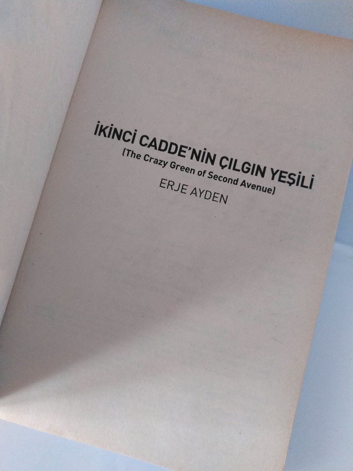 İkinci Cadde'nin Çılgın Yeşili - Erje Ayden - Görsel 2
